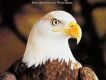 Pacific Suite太平洋組曲