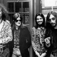 Chicken Shack圖片照片_Chicken Shack