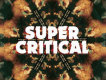 Super Critical專輯_The Ting TingsSuper Critical最新專輯