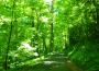 Best that I can專輯_T. J. JacksonBest that I can最新專輯