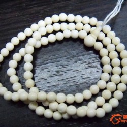 珠珠圖片照片_珠珠