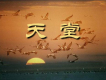 雁子音樂專輯_雁子雁子音樂最新專輯