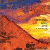 Tindersticks圖片照片_Tindersticks