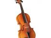 The 50 First Violins