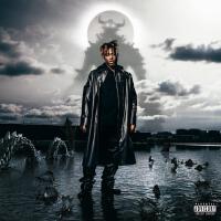 Fighting Demons (Digital Deluxe)專輯_Juice WRLDFighting Demons (Digital Deluxe)最新專輯