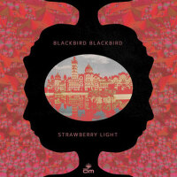 Strawberry Light專輯_Blackbird BlackbirdStrawberry Light最新專輯