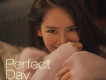 Perfect Day