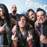 Bobaflex圖片照片_Bobaflex