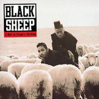 Black Sheep圖片照片_Black Sheep