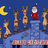 Merry圖片照片_Merry