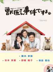 陣內孝則演過的電影電視劇線上看_影視作品大全_好看的明星