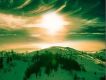 Green Dream