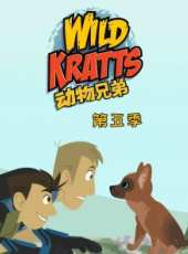 最新動物卡通片_動物卡通片大全/排行榜_好看的動漫