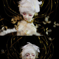 Numina圖片照片_Numina