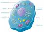 Clint Van Cleef / Dilenttantes (Remix)專輯_NucleusClint Van Cleef / Dilenttantes (Remix)最新專輯