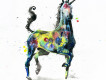 UNICORN圖片照片