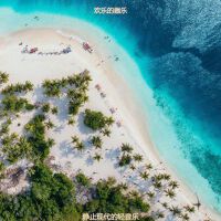 歡樂的器樂最新專輯_新專輯大全_專輯列表