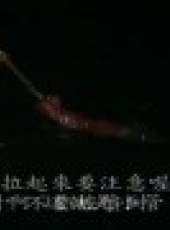 鳳中奇緣最新一期線上看_全集完整版高清線上看_好看的綜藝