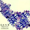 COOLON歌曲歌詞大全_COOLON最新歌曲歌詞