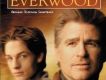 雪山鎮 Everwood