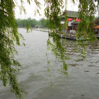 大民原創圖片照片_大民原創