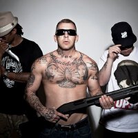 Swollen Members圖片照片_Swollen Members