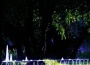Wisp X最新歌曲_最熱專輯MV_圖片照片
