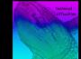 ANiftyCanOfSoda歌曲歌詞大全_ANiftyCanOfSoda最新歌曲歌詞