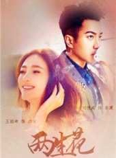 顧璇演過的電影電視劇線上看_影視作品大全_好看的明星