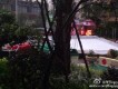 FFFliqpy圖片照片