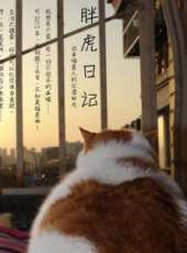 抗日傳奇之武俠聚義線上看_高清完整版線上看 - 蟲蟲電影