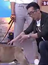 哈嘍夥計最新一期線上看_全集完整版高清線上看_好看的綜藝