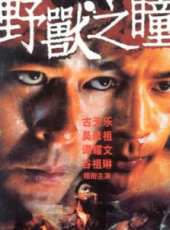 谷祖琳演過的電影電視劇線上看_影視作品大全_好看的明星