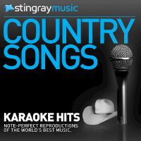 Karaoke - In the style of John Anderson - Vol. 2專輯_KaraokeKaraoke - In the style of John Anderson - Vol. 2最新專輯