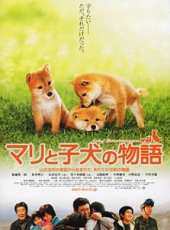 松本明子演過的電影電視劇線上看_影視作品大全_好看的明星