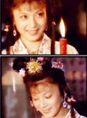 陳紅最新電視劇_陳紅電視劇作品全集線上看_好看的電視劇