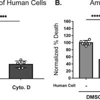Entamoeba Histolytica最新專輯_新專輯大全_專輯列表
