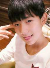 TF家族TFamily s Story線上看_全集高清完整版線上看_分集劇情介紹_好看的電視劇