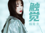 觸覺專輯_楊楚雲觸覺最新專輯