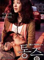 鄭麗媛演過的電影電視劇線上看_影視作品大全_好看的明星