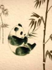 熊貓歷險記（微電影）線上看_高清完整版線上看_好看的電影