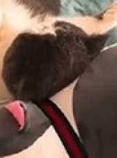 萌次元最新一期線上看_全集完整版高清線上看_好看的綜藝
