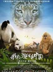 陸川演過的電影電視劇線上看_影視作品大全_好看的明星