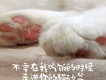 邪讓多傑歌曲歌詞大全_邪讓多傑最新歌曲歌詞