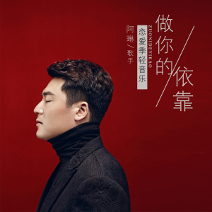 阿琳歌曲歌詞大全_阿琳最新歌曲歌詞