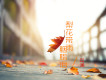 可澤歌曲歌詞大全_可澤最新歌曲歌詞