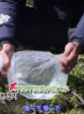 金炳萬的叢林法則最新一期線上看_全集完整版高清線上看_好看的綜藝