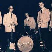 The Surfaris圖片照片_The Surfaris