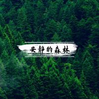 森林的聲音最新歌曲_最熱專輯MV_圖片照片