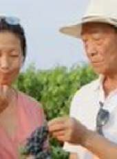 塞上金秋閩寧情最新一期線上看_全集完整版高清線上看_好看的綜藝